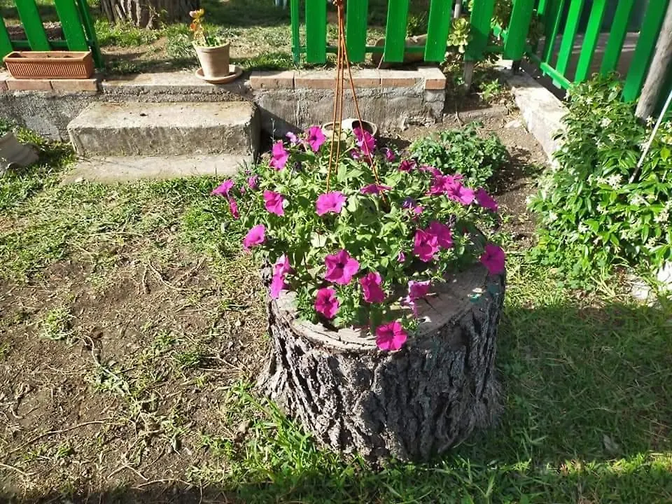 Chalet Il Gelsomino Dell'Etna Giarre 0*,  Olaszország