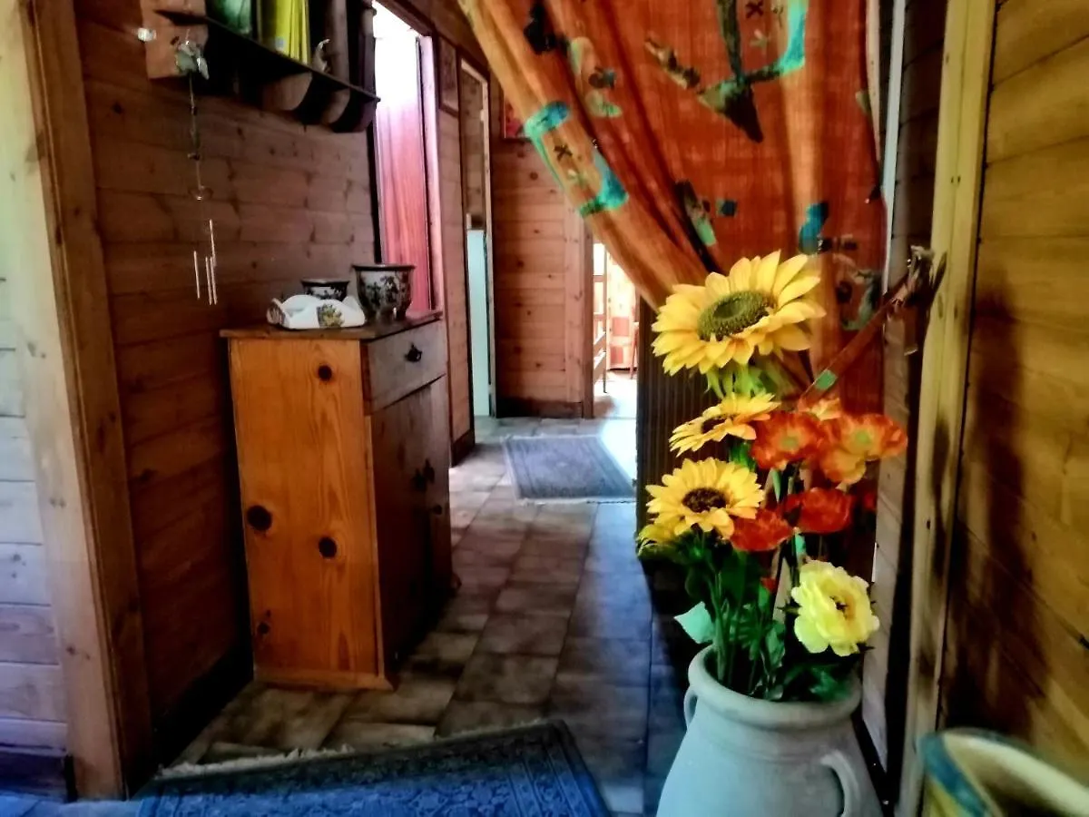 Chalet Il Gelsomino Dell'Etna 기아레