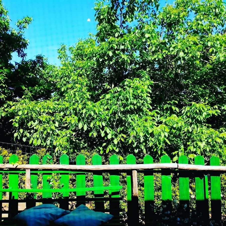 Chalet Il Gelsomino Dell'Etna 기아레 0*,